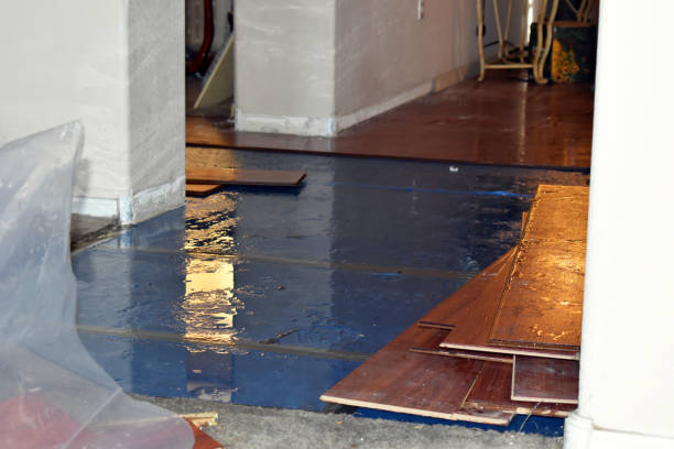 Professional Water Damage Restoration technician working in Kendalia, TX